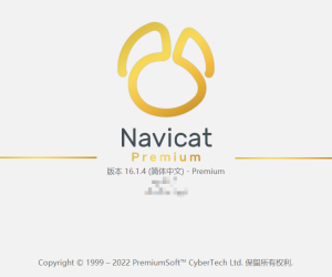 Navicat Premium 16绿色版下载-我爱测试网