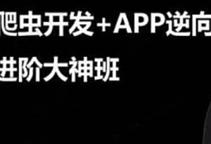 2024某飞学城爬虫课程APP超级逆向进阶大神班第9期全套视频教程-我爱测试网