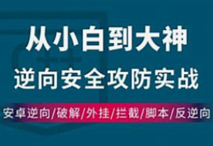知识星球-2024年VIP逆向教程-我爱测试网
