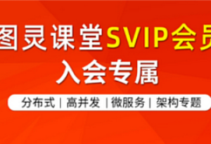某灵-Java高薪拓展VIP系列课程（已完结）-我爱测试网