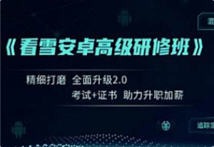 看雪-安卓高级研修班月薪两万计划2024夏季班-我爱测试网
