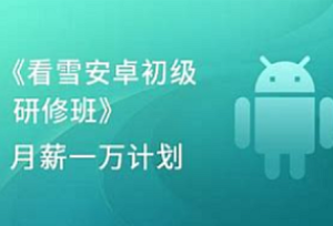 看雪-安卓高级研修班月薪一万计划2024-我爱测试网