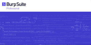 BurpSuite2025.5.1渗透测试工具专业版下载-我爱测试网