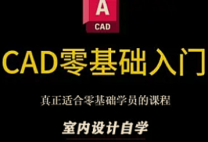 育宗-CAD零基础入门到精通教程2025-我爱测试网