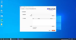 BurpSuite Pro专业版下载 更新日期：2026年3月-我爱测试网
